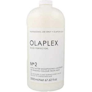 Olaplex - Bond Perfector Nº2 - Beschermende Haarbehandeling - 100 ml