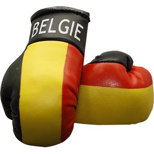 Mini Bokshandschoenen België