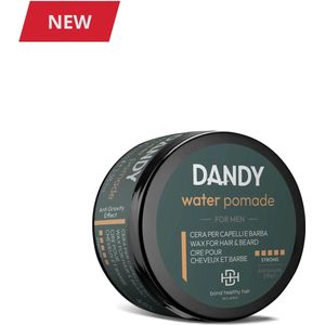 DANDY WATER POMADE 100ml
