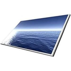 HP Mini 210-1020SL WSVGA 10.1 LED Laptop Monitor