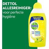 12x Dettol Power & Fresh Allesreiniger Citrus 500 ml