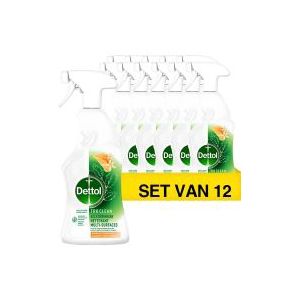 12x Dettol Allesreiniger Tru Clean Mandarijn & Citroenbloesem Spray (500 ml)
