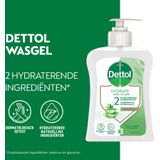 Dettol vloeibare zeep aloe vera pomp 6x250 ml - 15410036220600