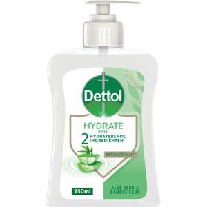 6x Dettol Handzeep Hydraterend Aloë Vera 250 ml