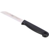 Solinger - Schilmesje - Zwart - RVS