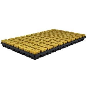 CULTILENE SBS STEKPLAAT 77 3.5X3.5X4CM PER DOOS = 18 TRAYS