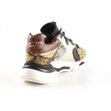 Dames Veterschoenen Toral Toral Tl-11101/ba Multi