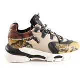 Dames Veterschoenen Toral Toral Tl-11101/ba Multi