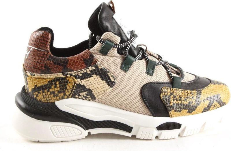 Dames Veterschoenen Toral Toral Tl-11101/ba Multi