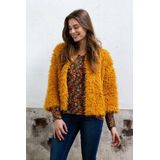 Heren Veterschoenen Floris Van Bommel Floris Van Bomme228 Donkerblauw