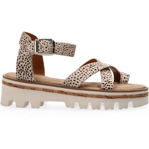 Peuterey Heren Polo Korte mouw