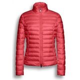 Paul & Shark Heren Vest Donkerblauw