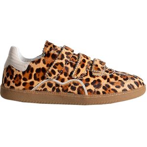Toral Sneakers TL-REM Bruin