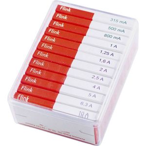 ESKA 632800 Buiszekering assortiment (Ø x l) 6.3 mm x 32 mm Snel -F- Inhoud: 120 onderdelen