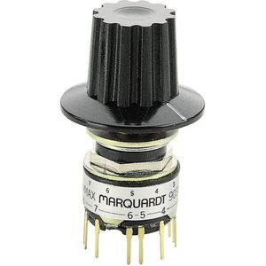 Tandwiel element ZF 0501317371ZF
