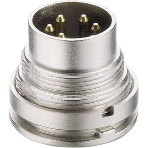 Lumberg SGV 50/6 DIN-connector Stekker, inbouw verticaal Aantal polen: 5 Zilver 1 stuk(s)