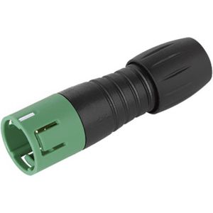99 9205 070 03 Rundstecker Stecker, gerade Gesamtpolzahl: 3 Serie (Rundsteckver ): 620 - Binder