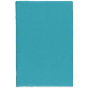 Alberta Ferretti, Ceruleo Blauwe Zijden Sjaal voor Vrouwen Blauw, Dames, Maat:ONE Size