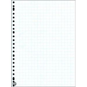Benza - Ringbandblok, Wiskundepapier Ruit 10 mm A4 - 23 ringen