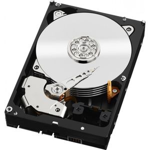 Western Digital RE4-GP - Interne harde schijf - 2 TB