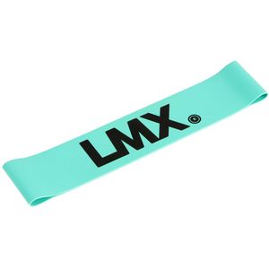 Lifemaxx 1116 Miniband Blauw - Heavy - Heavy