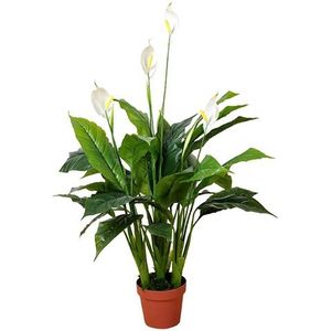 Kunst Spathiphyllum Patini - 105 cm