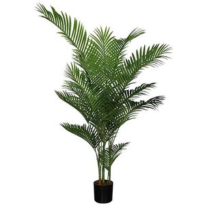 Areca palm 185 cm - Buitengewoon de Boet