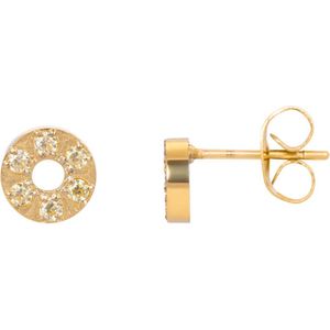 iXXXi Oorbellen Circle Stone 6 mm Goud