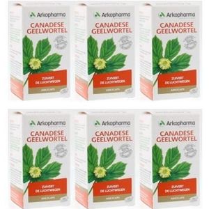 Arkocaps Canadese Geelwortel 6-pak voordeelpak 6x45 capsules Arkopharma