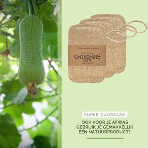 green-goose® Loofah Schuursponsjes | 3 Stuks | Schoonmaak Spons | Natuurlijk, Duurzaam, Puur Plantaardig