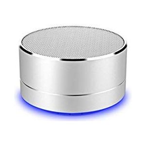 Speaker Metaal Bluetooth voor iPhone 11 Pro Port USB TF-kaart Auxiliaire luidspreker Micro Mini (zilver)