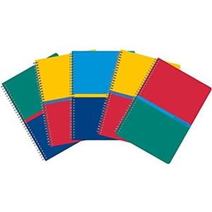 Conquérant 5 notitieboeken, A5, kleine ruitjes, 5 mm, 180 pagina's, spiraalbinding, envelop gerecyclede kaarten, verschillende kleuren