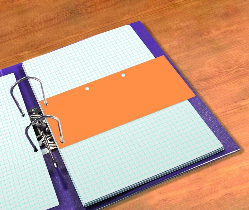 Oxford Trennstreifen Duo 240x105mm 160g/qm VE=60 Stück orange