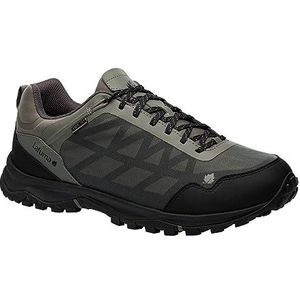 Lafuma Access Clim M, wandelschoenen voor heren, grijs.