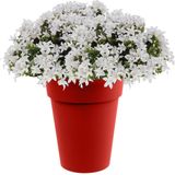 Bloempot Toscane kunststof rood D44 x H53 cm - 50 liter - Bloempotten/plantenpotten