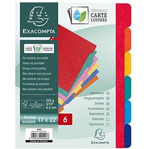 Exacompta Register A5+ Manila-Karton 225g 5-teilig blanko farbig