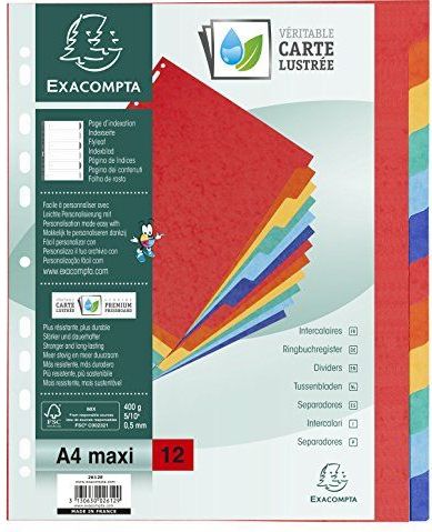Exacompta Register A4+ Manila-Karton 400g 12-teilig blanko farbig
