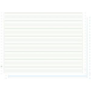 Caroll - Listingblad - Papier - Groen/Blauwe Zones - 1000 Vel, Zelfkopierend, Niet Afscheurbaar