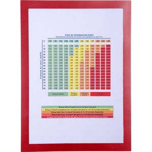 Exacompta - Magnetische wandhoezen voor A4-documenten, 3 magnetische zijden en 1 open zijde voor notities en posters, ref. 39203E - Rood