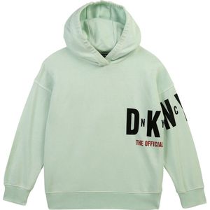 Dkny Hoodie Groen 12 Years