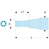 Facom Schroevendraaierdoppen 1/2 Voor Torx®-schroeven - SXM.25