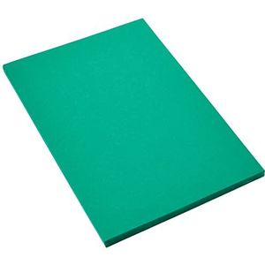 Canson Iris Vivaldi A4 120 gsm Glad Kleurpapier - Licht Grijs 185gsm - 50 vel A4-21x29.7cm Sparboom