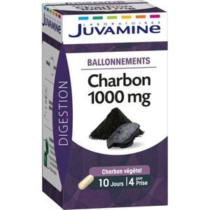 Juvamine Houtskool 1000 mg 40 Capsules