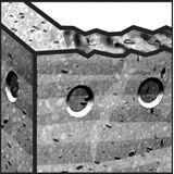 Bosch - 2608596183 - SDS-Plus Hamerboor Plus 5 - 8 X 550 X 615mm