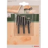 Bosch Accessories 3-delig Houten raspset