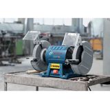 Bosch Professional tafelslijpmachine GBG 60-20 (600 watt, slijpschijf-Ø 200 mm, onbelast toerental 3600 min-1, incl. 2x slijpschijf normale korrel, in kartonnen doos)