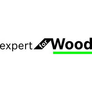 Bosch Professional Cirkelzaagblad Expert for Wood (hout, 165 x 20 x 1,5 mm, 48 tanden, accessoire accu-cirkelzaag)