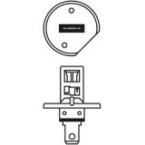Lamp Halogeen BOSCH H1 Pure Light 12V, 55W