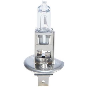 Lamp Halogeen BOSCH H1 Trucklight 24V, 70W