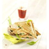 Tefal Ultracompact SM1552 - Tosti ijzer